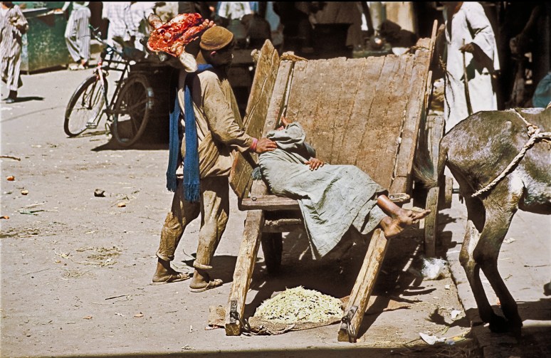 Meat Market, Cairo, Egypt